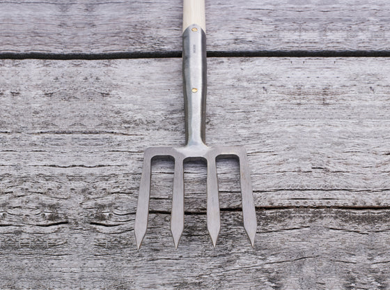 Border Fork