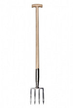 Border Fork