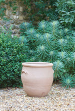 GR 10 Tree Pot