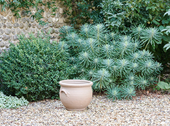 GR 10 Tree Pot