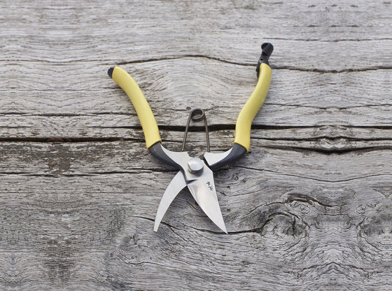 GR Secateurs
