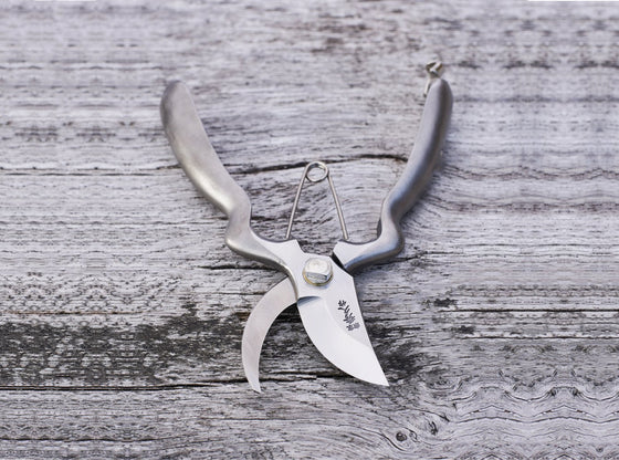 Hidehisa Pruner