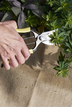 Jute Garden Carrier