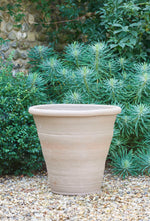 Leeds Pot Medium