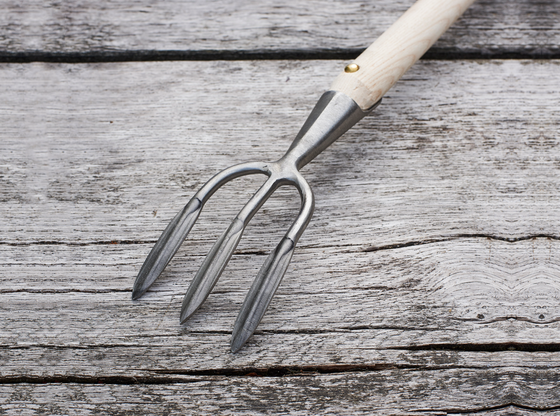 Long Handled Weeding Fork