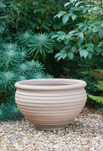 Wide Open Pot
