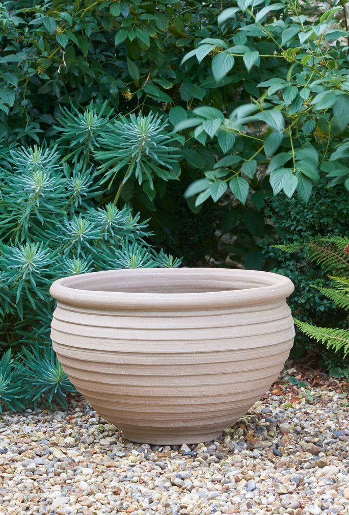 Wide Open Pot