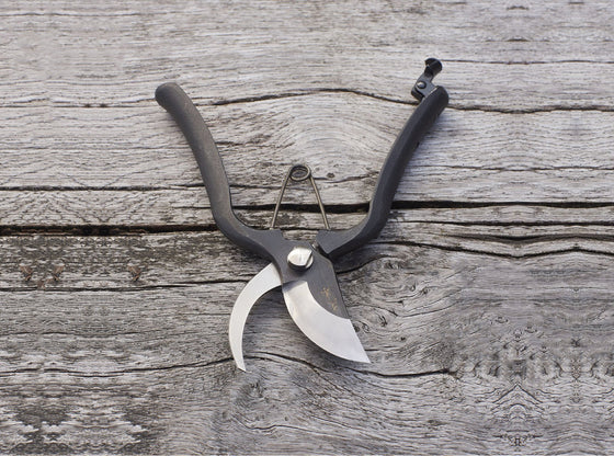 Sentei Secateurs
