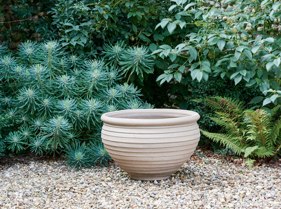 Wide Open Pot