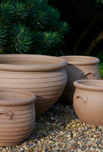 Wide Open Pot