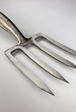 Border Fork