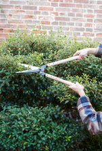 Garden Shears
