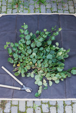 Large Oilskin Carrier