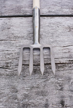 Border Fork
