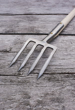 Border Fork