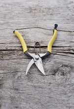 GR Secateurs