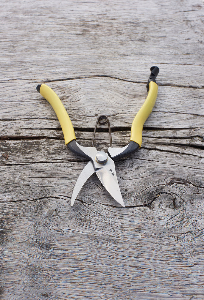 GR Secateurs