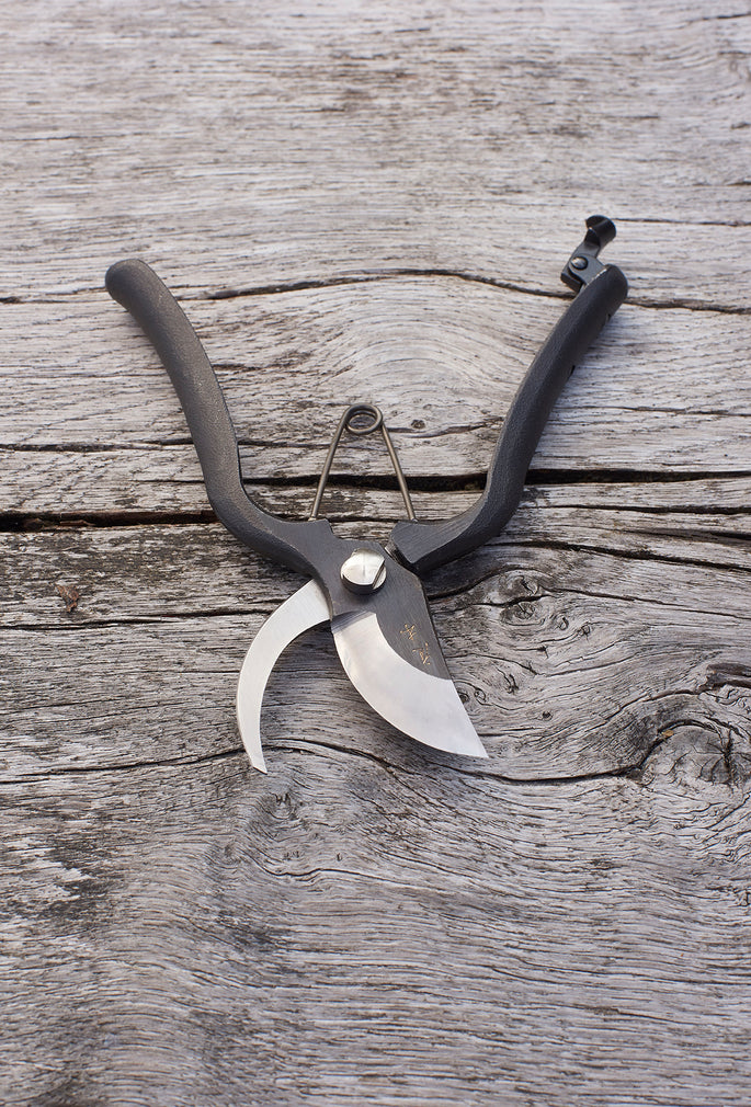 Sentei Secateurs